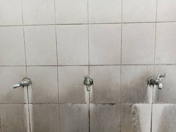 Best Sewage cleanup and water damage restoration  in Conover, NC