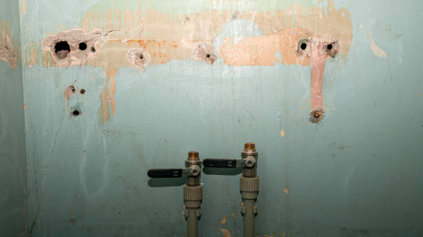 Best Water damage restoration cost  in Conover, NC