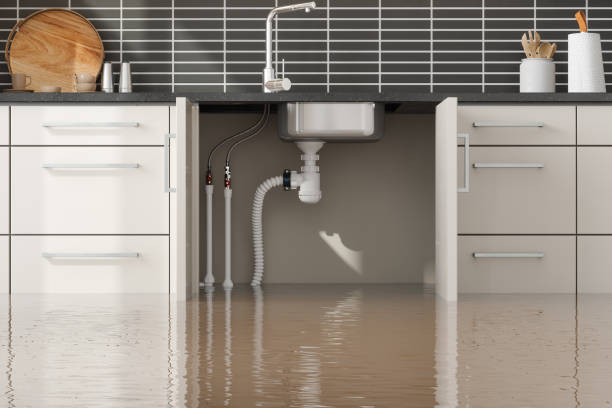 Best Water damage contractors near me  in Conover, NC