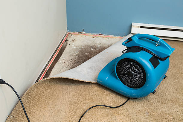Best Carpet water damage restoration  in Conover, NC